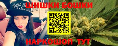 spice Бийск