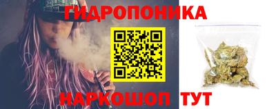 spice Бийск