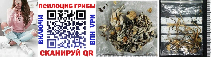 закладки  Курган  Псилоцибиновые грибы мицелий 