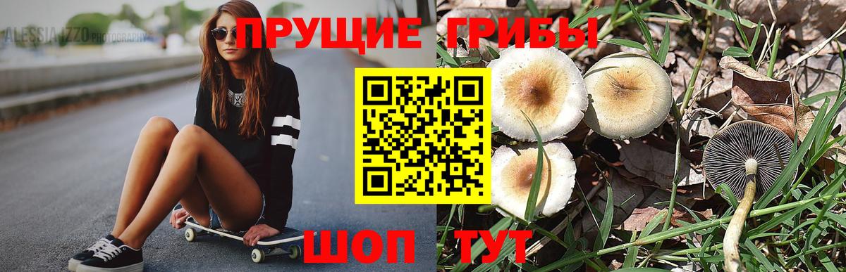 Галлюциногенные грибы мицелий Курган