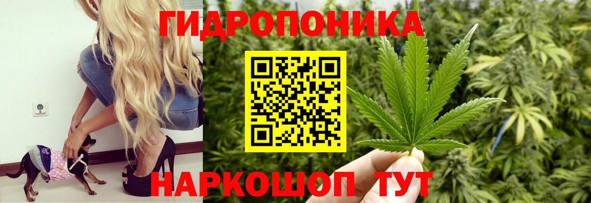 Cocaine Курган
